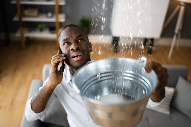 Best Flood damage cleanup  in State Line, PA
