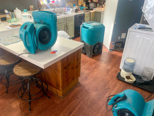Best Mold removal after water damage  in State Line, PA