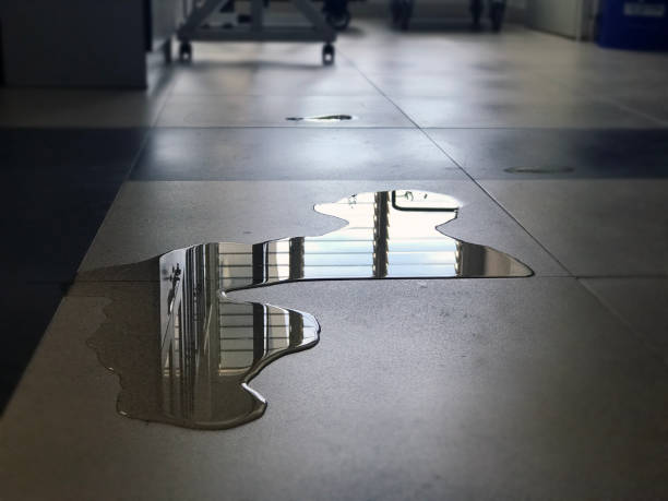 Best Water damage restoration specialists  in State Line, PA